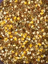Pigeon Dove Seed Wild Bird Feed Food Birds in Zipper Bag Different Sizes