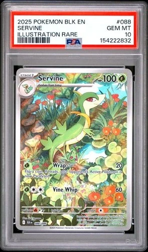Servine *PSA 10* Illustration Rare *Black Bolt* #88 * Pokemon