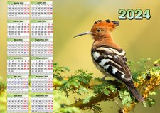calendrier 2026 oiseau huppe poster affiche plastifiée 30x40 cm réf 235