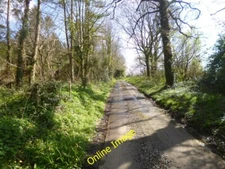 Photo 6x4 Morden, country lane East Morden From East Morden to Cockett Hi c2014