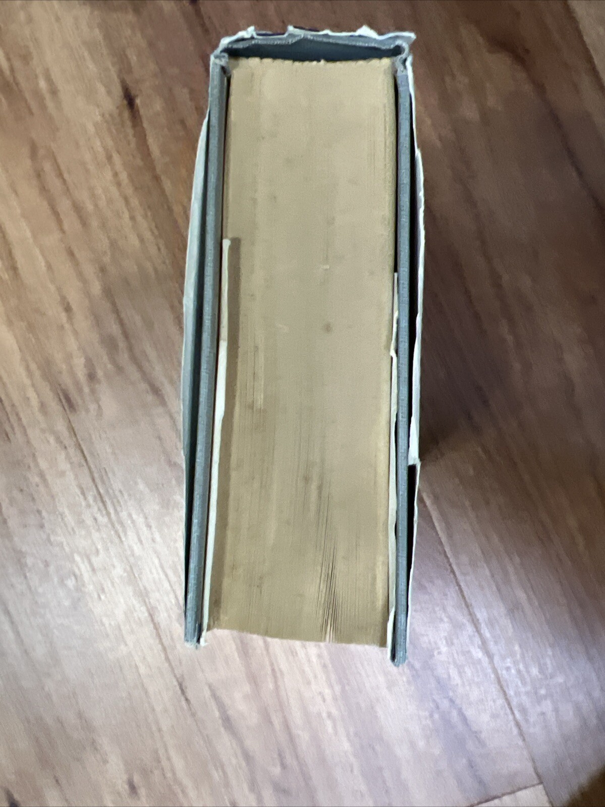 Picture 6 of 13