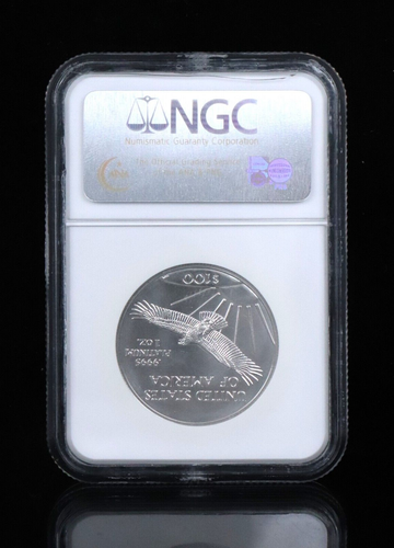 NGC 2006 .9995 Platinum 1oz American Eagle P$100 MS69 Coin - Picture 2 of 4