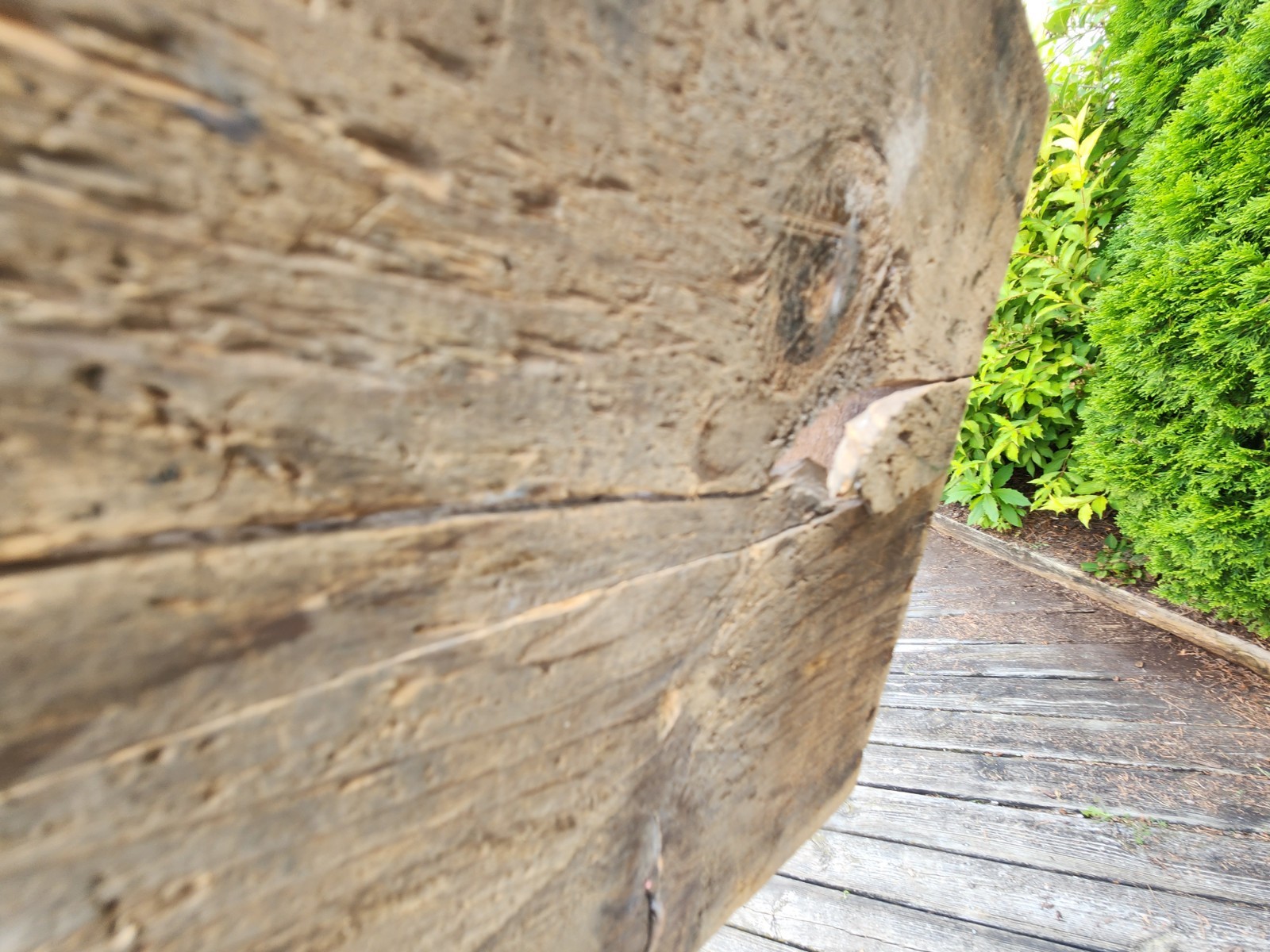 Herald Brand Prunes Wood Box Shipping Crate California Fruit Vintage Distressed