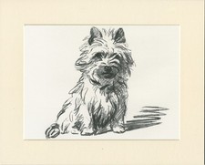 WESTIE WEST HIGHLAND WHITE TERRIER 1937 DOG ART PRINT LUCY DAWSON READY MOUNTED