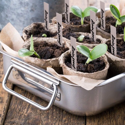 Versatile 100-Piece Biodegradable Seedling Pot Set with 4'' Labels Included - Picture 8 of 9