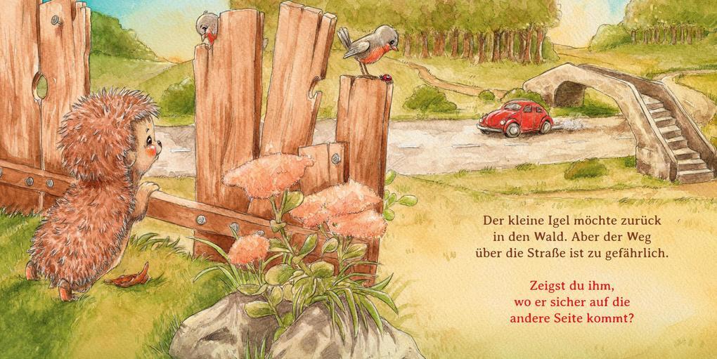 Thumbnail - Schlaf Schön, Kleiner Igel (mini-ausgabe) | Sophie Schoenwald | 2021 |