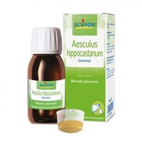 Boiron Aesculus Hippocastanum Gemme Macerato Glicerico, 60Ml