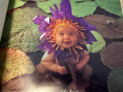 BOOK: DOWN IN THE GARDEN BY ANNE GEDDES 1996 FIRST EDITION - Picture 3 of 5