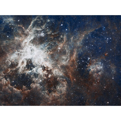 Space Nasa Esa Hubble Tarantelnebel XL Wandbild Leinwandbild
