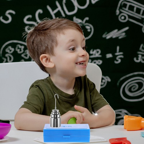 Ensemble De Masses à Fente QWORK - 2 Jeux De Poids Métal Chromé 1000g Total, Pour Laboratoire Ou école, Neuf