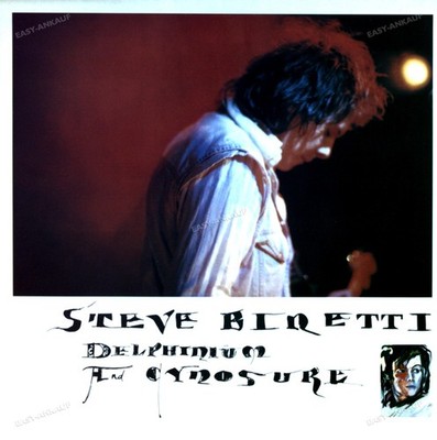 Steve Binetti - Delphinium And Cynosure LP (VG+) '