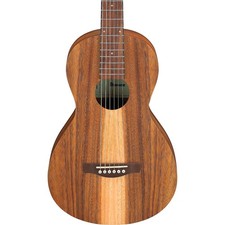 Ibanez PN2WS Parlor Acoustic Guitar, Siris Top, Open Pore Brown