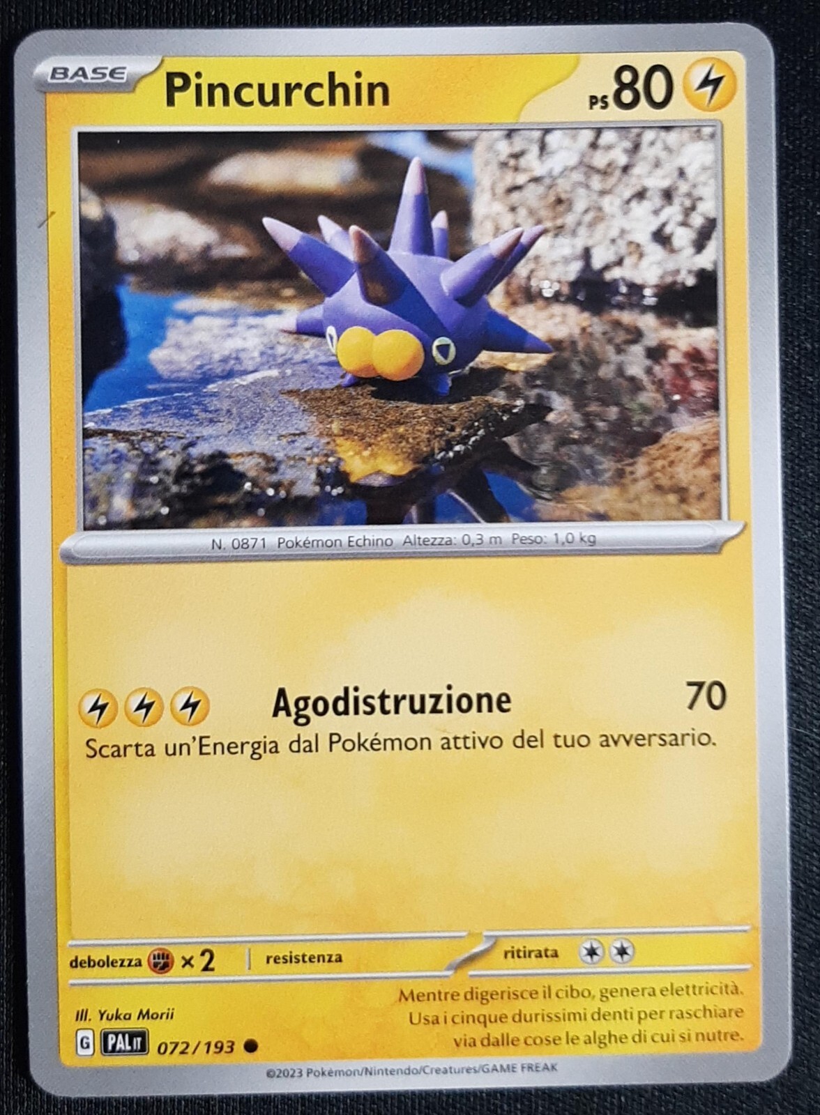 Foto 1 di 1