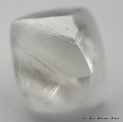 G IMPECABLE BLANCO LIMPIO 0,73 QUILATES DIAMANTE EN BRUTO NATURAL, DIAMANTE GENUINO SIN CORTAR - Imagen 3 de 6