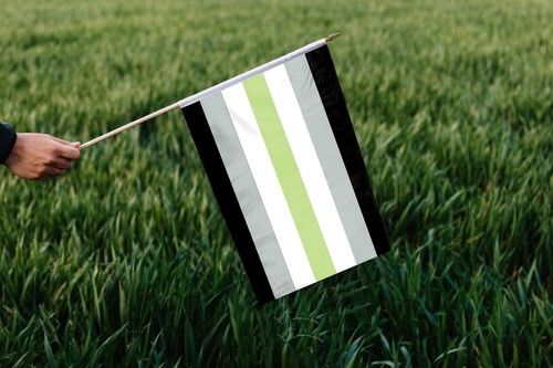Bandera Agender Pride-Impresa a una cara-Ojales de latón-A prueba de decoloración Colores nítidos - Imagen 38 de 42