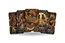 How the Birds Got Their Colors - 22 Oracle Cards - Celebrate Diversity and the B