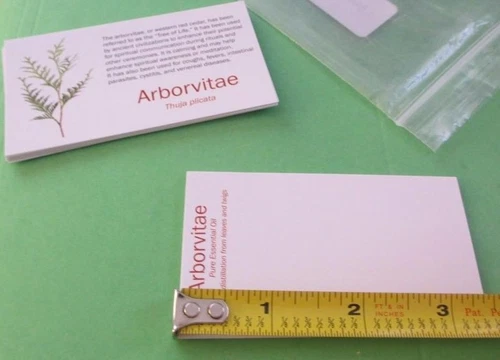 12x BUSINESS CARDS - doTerra red cedar oil uses ARBORVITAE blank back YOUR INFO