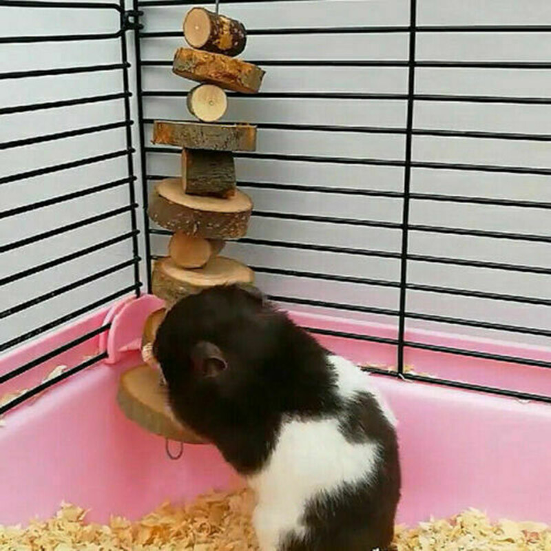 Small Pets Apple Wood Chew Sticks Twigs for Rabbit Hamster Guinea Pig