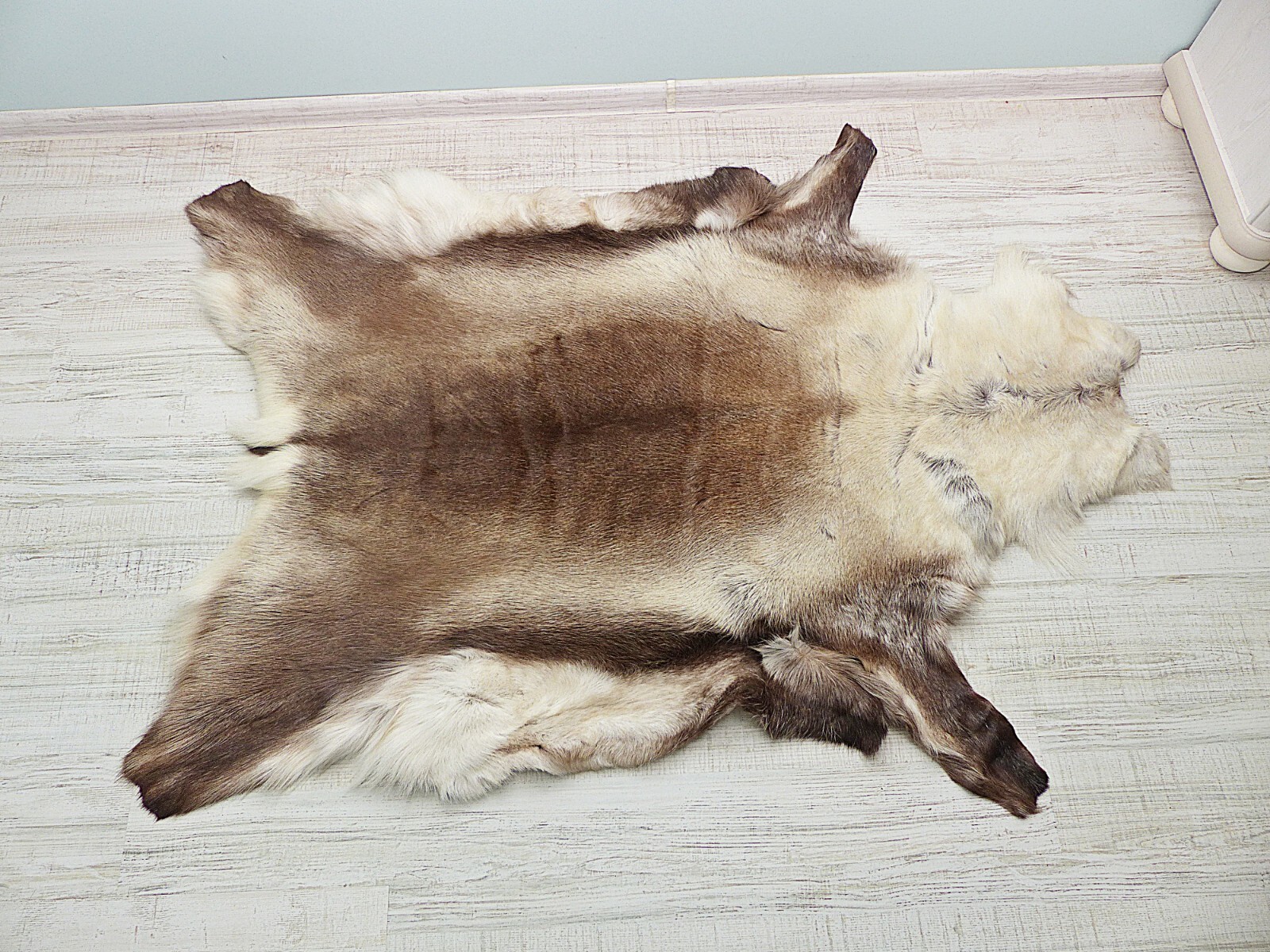 Picture 6 of 10