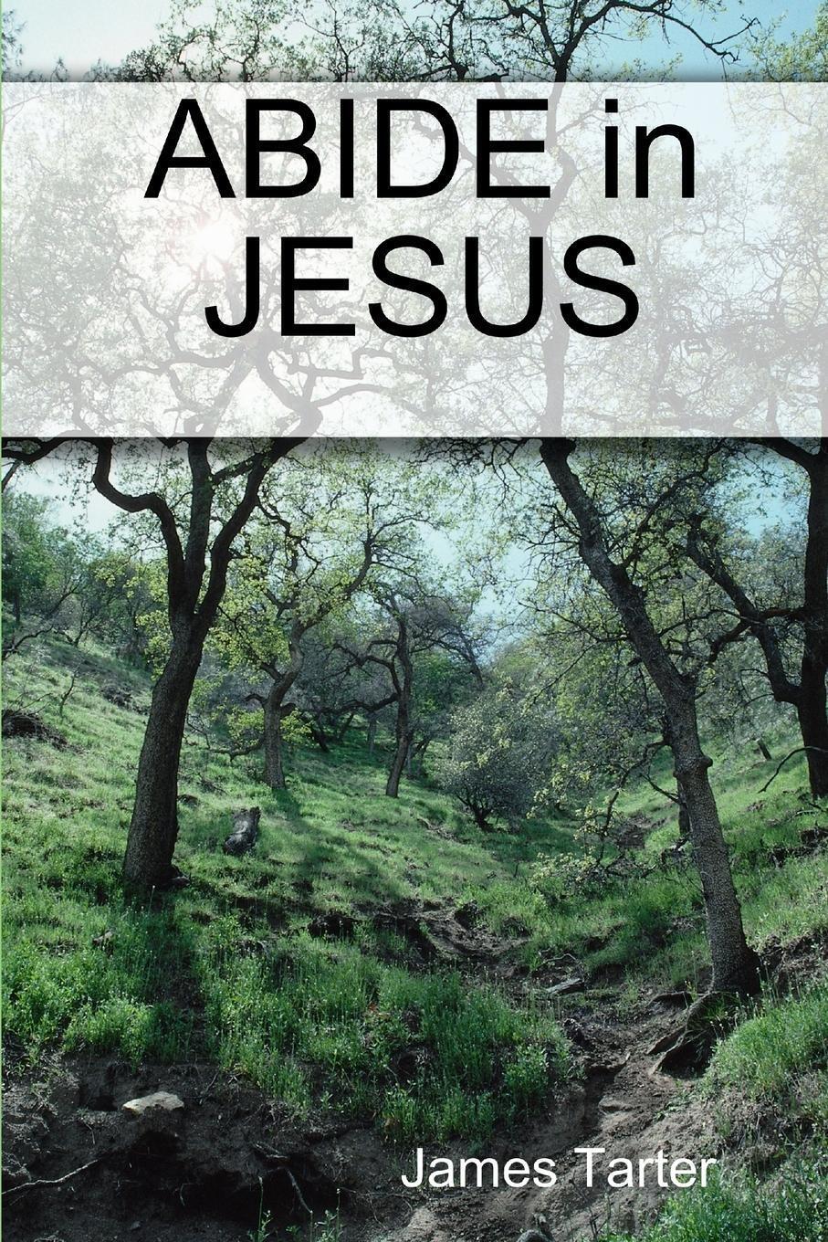 Thumbnail - Abide In Jesus | James Tarter | Englisch | Taschenbuch | Paperback |