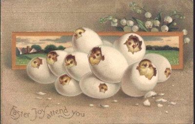 1910 Baby Chicks Hatching from Eggs CLAPSADDLE Int'l Art Germany postcard