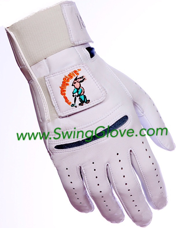 Dynamics Circle Men's Swing Glove Golf Training Aid eBay