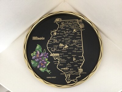 1950 s ILLINOIS USA State Souvenir Metal Round Map Graphic Tray Violet Flower