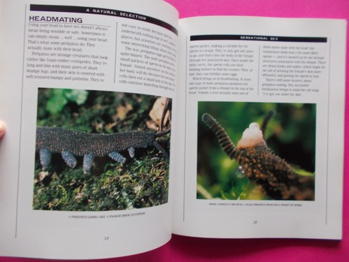 A Natural Selection Marvels & Oddities of the Natural World by Richard Morecroft - Picture 6 of 10