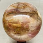 Natural Petrified Wood Polished Stone Quartz Crystal Sphere Ball Healing 2480G — photo 4