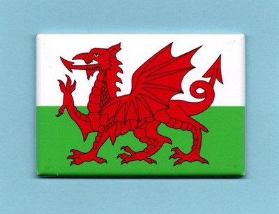 WALES *2X3 FRIDGE MAGNET* FLAG BANNER NATIONAL SYMBOL DESIGN COLOR UK COUNTRY