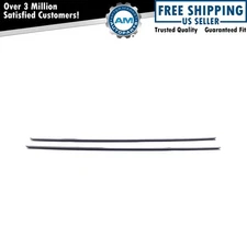 Door Window Belt Weatherstrip Kit Fits 82-88 Regal Calais Cutlass