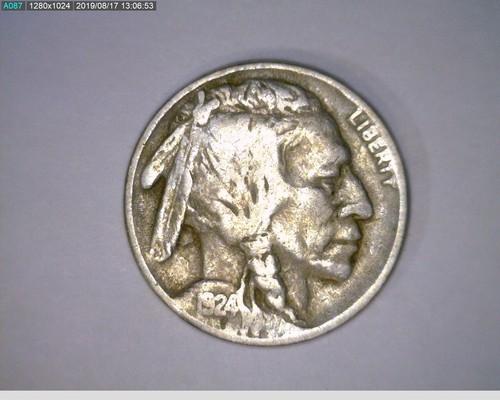 1924 Buffalo Nickels (44-311 7m2) - 第 1/2 張圖片