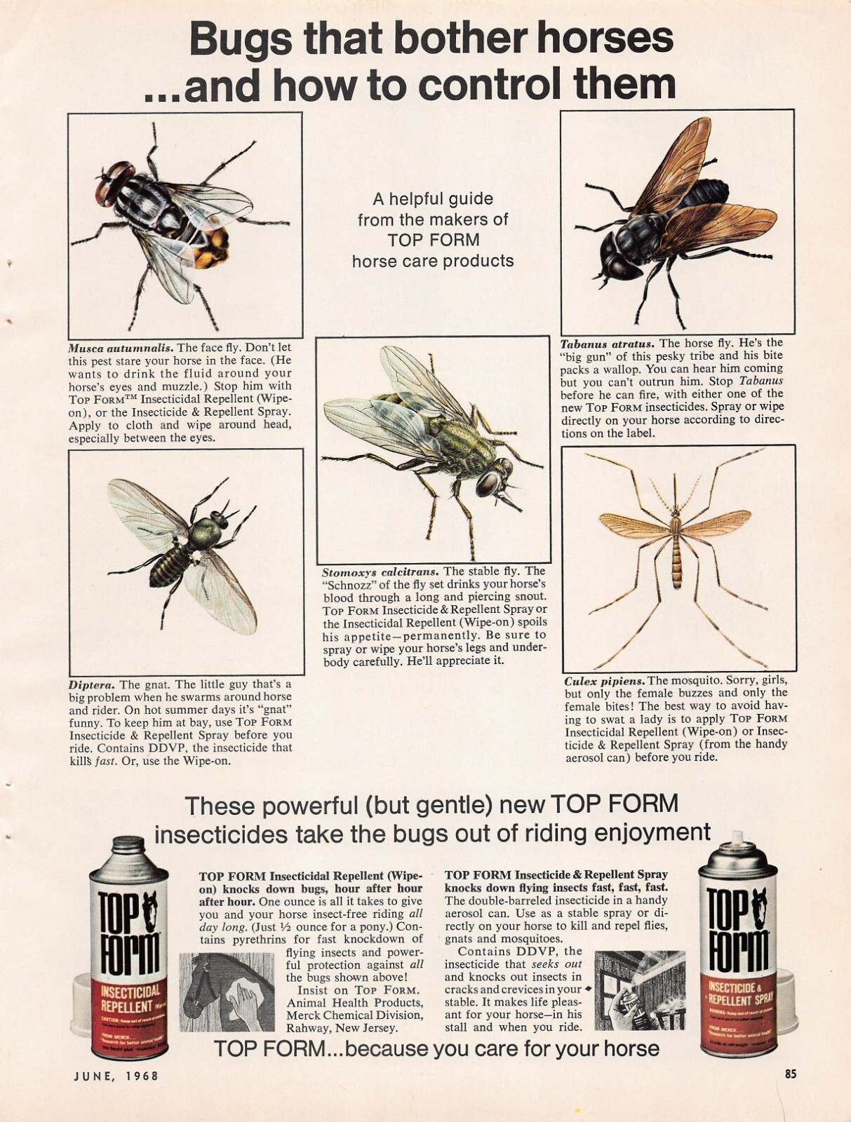 Top Form Insecticide Insects Horse Fly Mosquito Vtg Advertising Print Ad 1968