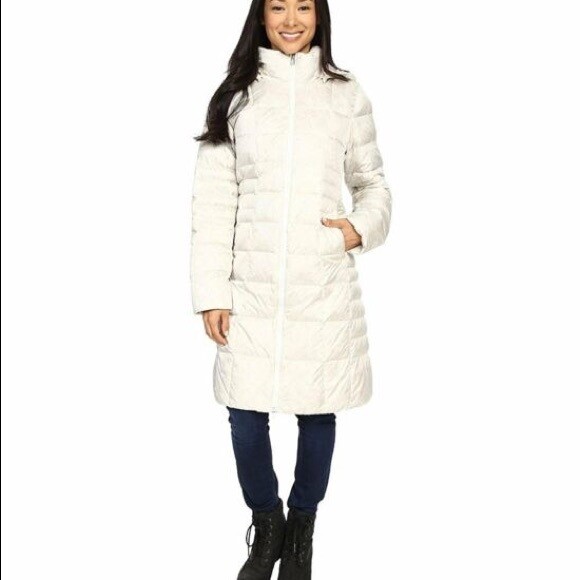 the north face metropolis 2