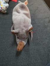 Ty Beanie Baby babies SPIKE the RHINO 