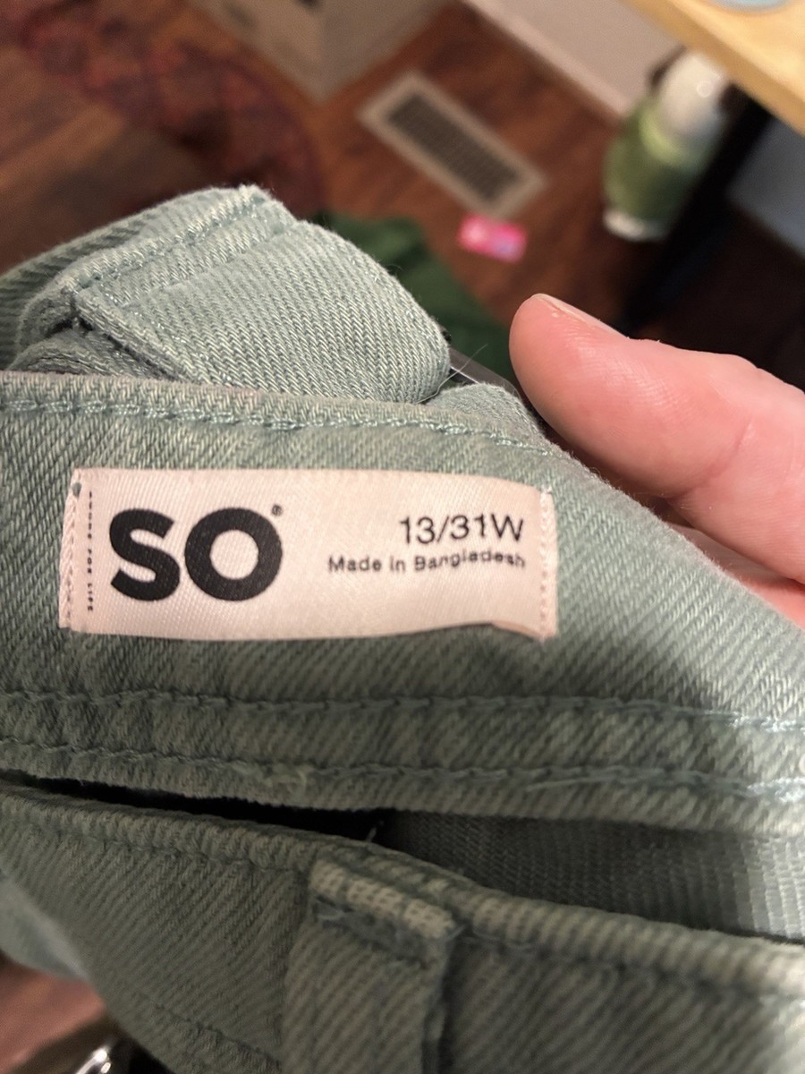 SO 13/31W CARPENTER STYLE PANTS View 3