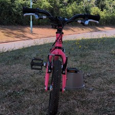 Wild Bikes 14in Pink Kids Bike, 1 Speed, V-Brake, Riser Bar