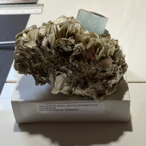 AQUAMARINE BERYL ON MUSCOVITE FROM NAGAR MINE, PAKISTAN HEAVY 487g MF9635 - Picture 14 of 15