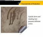 Bild 11 von 32