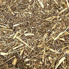 Wormwood BULK HERBS 8 oz.
