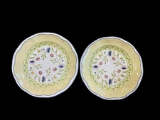 Provence Garden By Studio Nova 8 3/4" Salad Plates SH518 Set Of 2