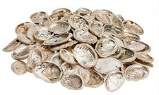 NaDeco Haliotis midae klein 0,5kg ca. 5-8cm | Abalone Schnecke | Abalone Muschel