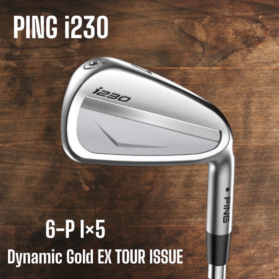 PING i230 Iron 6 P Set of 5 Dynamic Gold EX TOUR ISSUE | eBay PING i230 Iron 6 P Set of 5 Dynamic Gold EX TOUR ISSUE | eBay