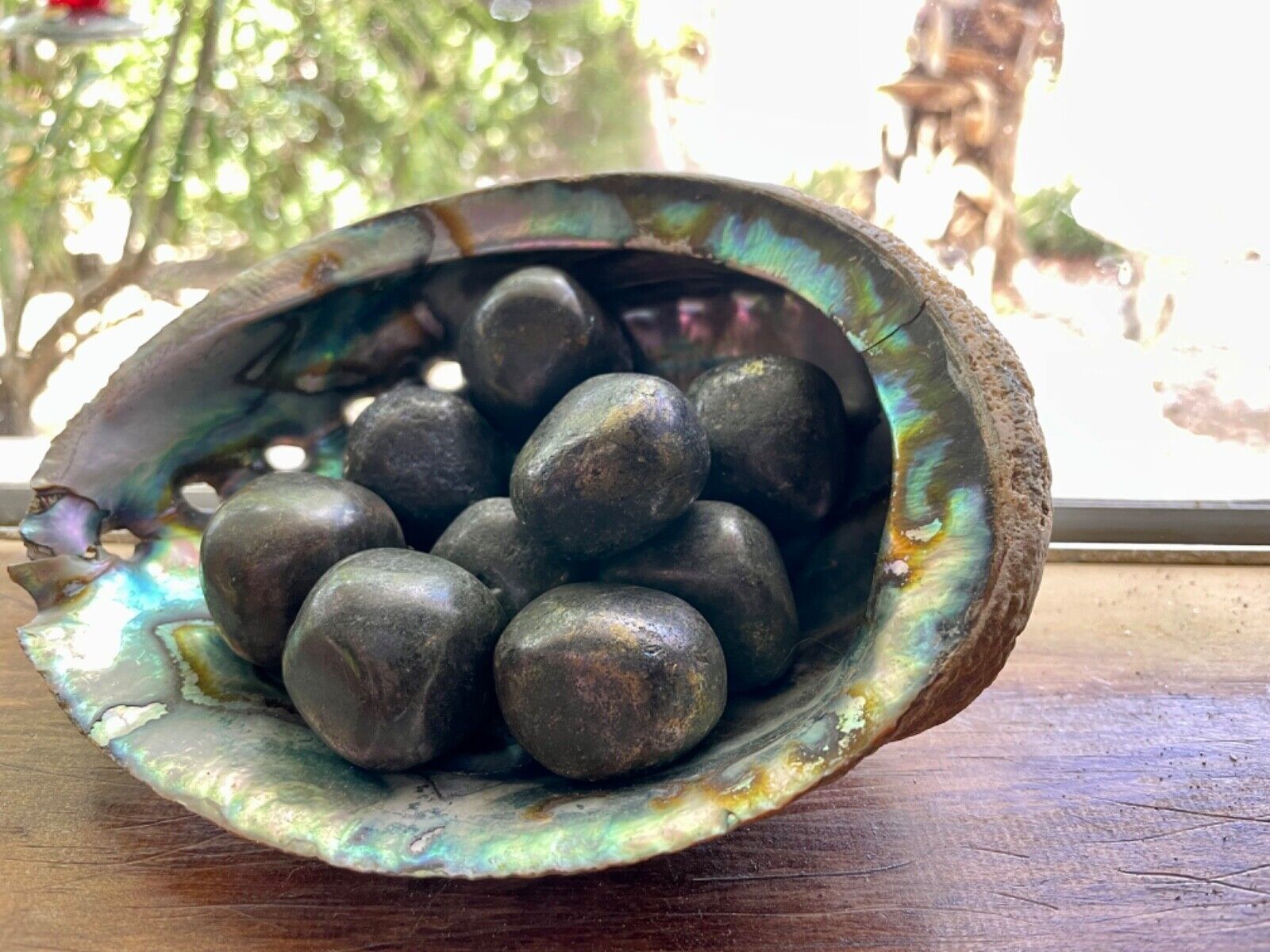 Foto 1 di 12