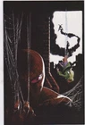 Amazing Spider-Man (2017) #797, 798, 799 Otto Virgin Variants NM+ (see desc)