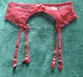 Agent Provocateur Set Bra & Suspender Belt Pink Lace Willa Unworn Valentine gift