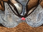 Parade Mesh Underwire Bra and Panties, M, 34C,D, 36B, Blue Black  NWT — photo 2