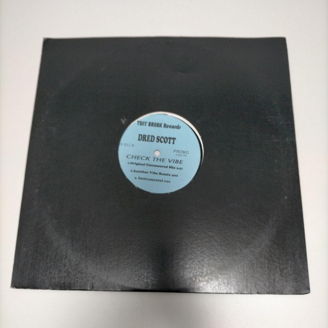 Dred Scott Check The Vibe Record | eBay