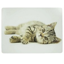 4er Set Tischsets Platzdeckchen KATZE Kork grau 40x29cm Hakbijl