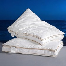 Mulberry Silk Sleep Pillow, 100 Silk Top Layer with High-Resilience Polyeste...